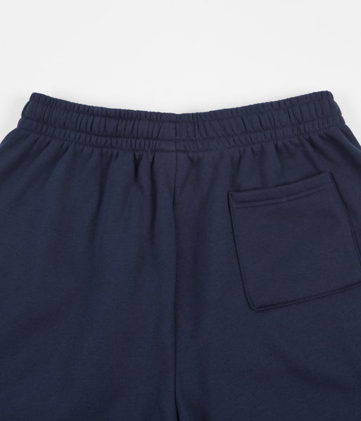 Nike sb court on sale shorts