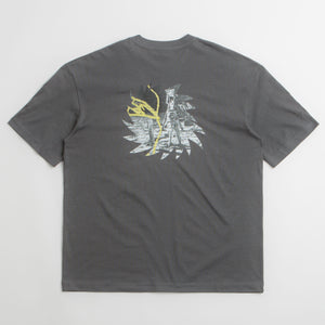 Iron Grey