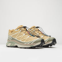 Salomon XT-6 GTX Shoes - Antelope / Icicle / Portabella thumbnail