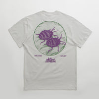 Butter Goods Nature Study T-Shirt - Cement thumbnail