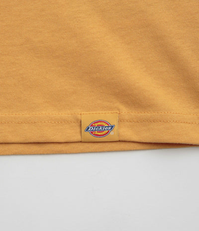 Dickies Companion T-Shirt - Oak Buff