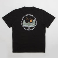 Dickies Dickies Outdoor T-Shirt - Black thumbnail