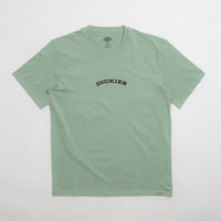 Dickies Dickies Outdoor T-Shirt - Iceberg Green thumbnail