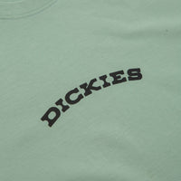 Dickies Dickies Outdoor T-Shirt - Iceberg Green thumbnail