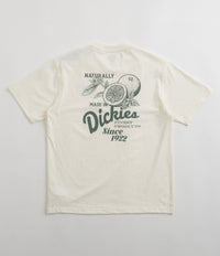 Dickies Raven T-Shirt - Cloud