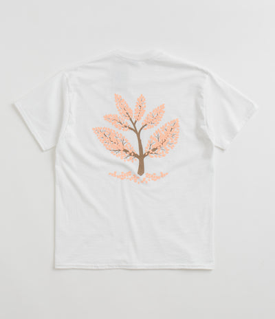 Magenta Blossom T-Shirt - White