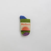 Mollusk Color Block Socks - Moss thumbnail