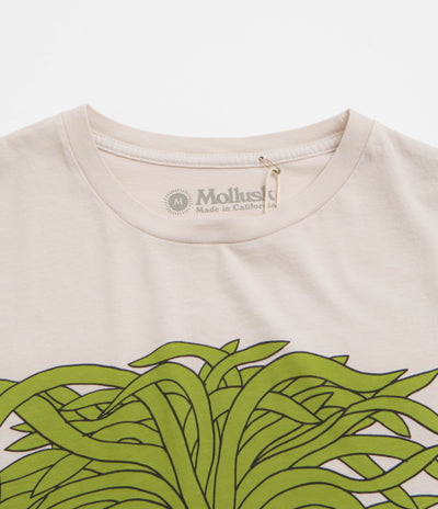 Mollusk Grow T-Shirt - Fog