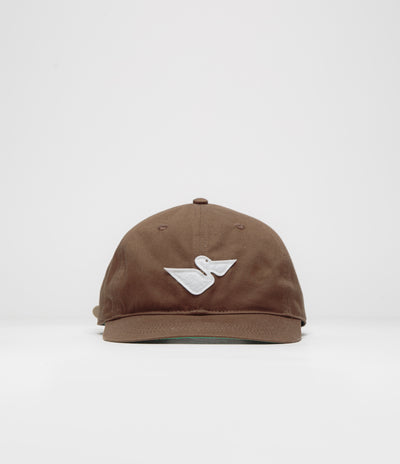 Mollusk Pelicano Cap - Brown