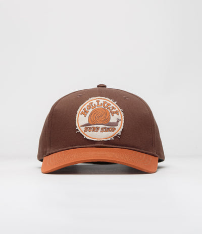 Mollusk Snail Patch Cap - Brown / Orange