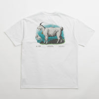 Nike ACG Goat T-Shirt - Summit White thumbnail