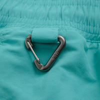 Nike ACG Reservoir Goat Shorts - Dusty Cactus / Summit White thumbnail