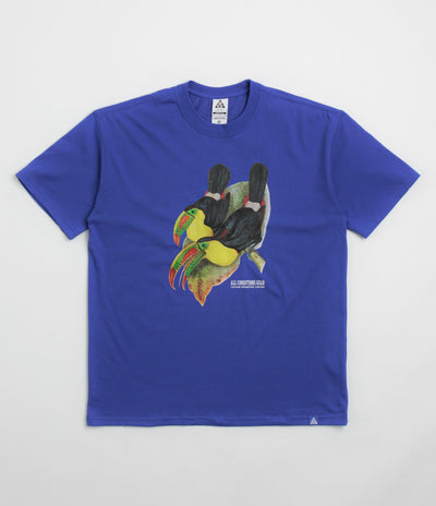 Nike ACG Toucan T-Shirt - Game Royal