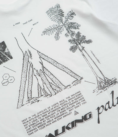 Nike ACG Walk Tree T-Shirt - Summit White