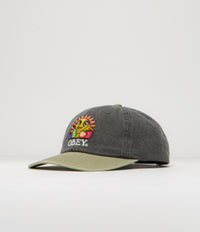 Obey Fruits Cap - Black Multi