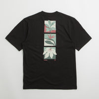 Parlez Flora T-Shirt - Black thumbnail