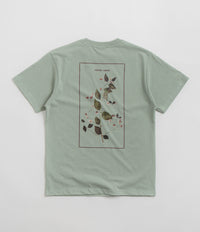 Pass Port Lantana T-Shirt - Stonewash Green