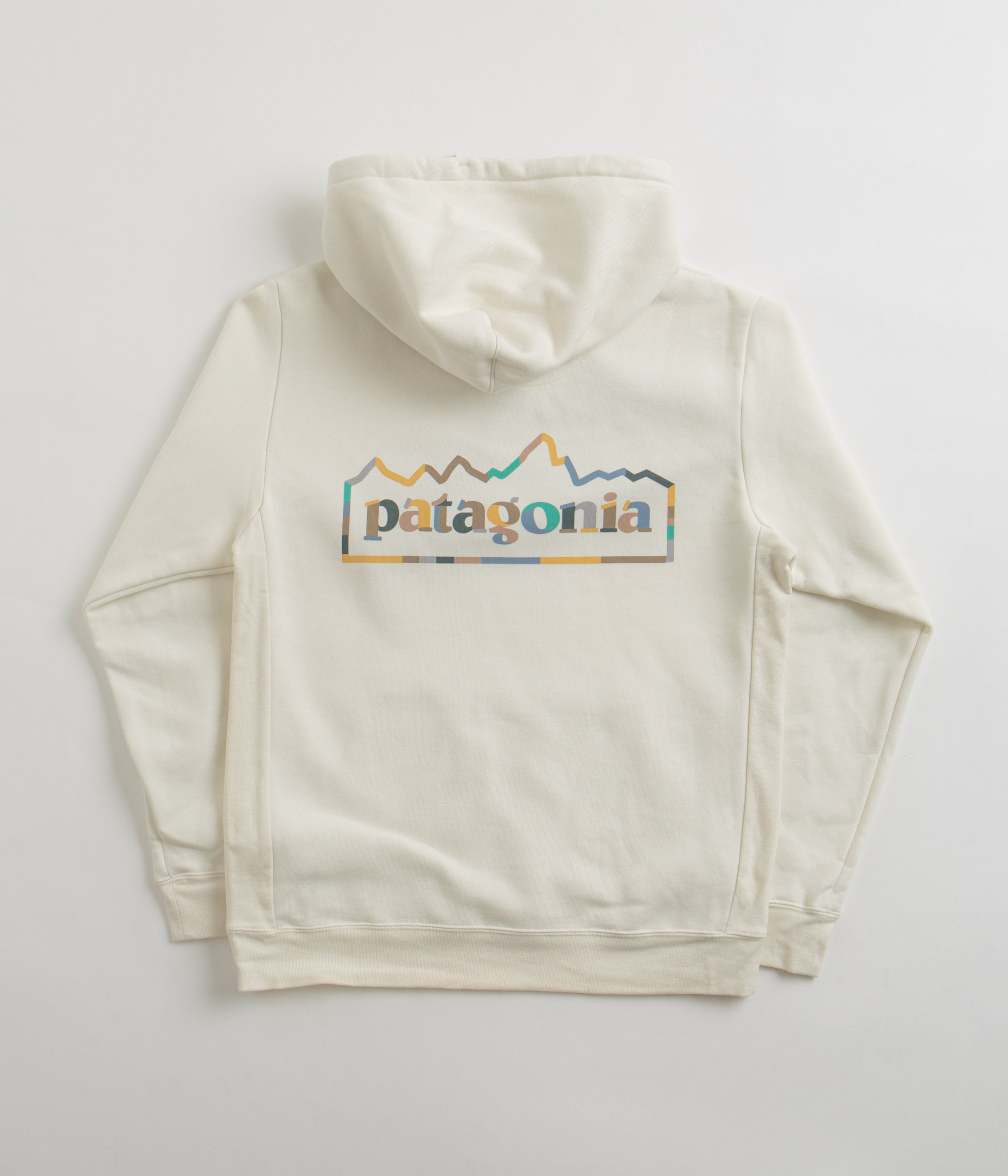 Patagonia cheap rainbow hoodie