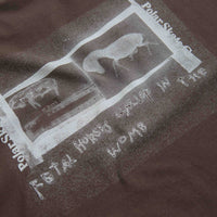 Polar Beautiful Horses T-Shirt - Chocolate thumbnail