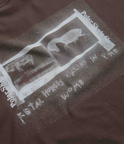 Polar Beautiful Horses T-Shirt - Chocolate