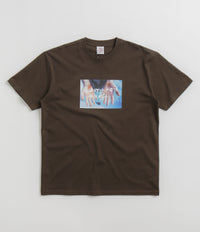 Polar Commitment T-Shirt - Brown