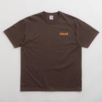 Polar Fields T-Shirt - Chocolate thumbnail