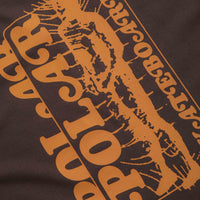 Polar Fields T-Shirt - Chocolate thumbnail