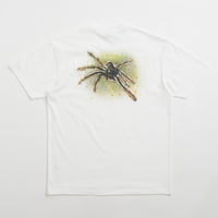 Polar Green Spider T-Shirt - White thumbnail