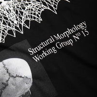 Polar Morphology T-Shirt - Black thumbnail