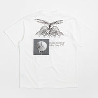 Polar Morphology T-Shirt - White thumbnail