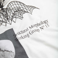 Polar Morphology T-Shirt - White thumbnail