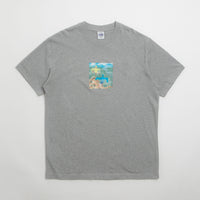 Polar Scarecrow T-Shirt - Heather Grey thumbnail