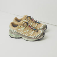 Salomon XT-6 GTX Shoes - Antelope / Icicle / Portabella thumbnail