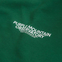 Purple Mountain Observatory Core Logo Hoodie - Eden thumbnail