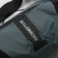 Salomon ACS 3 Waist Pack - Turbulence / Monument thumbnail