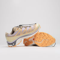 Salomon XT-6 Skyline Shoes - White Pepper / Peach Quartz / Orchid Petal thumbnail