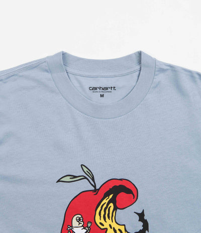 Carhartt Appetite T-Shirt - Misty Sky