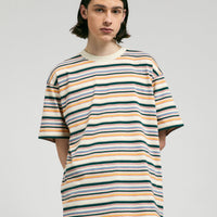 Carhartt Riggs T-Shirt - Riggs Stripe / Natural thumbnail