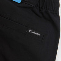 Columbia Wallowa Belted Pants - Black thumbnail