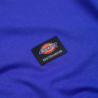 Dickies Mount Vista T-Shirt - Satin Sky thumbnail