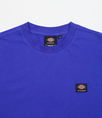 Dickies Mount Vista T-Shirt - Satin Sky