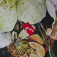 Poetic Collective Flower Still Life Deck
 - 8.375" thumbnail