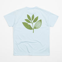 Magenta Grass Plant T-Shirt - Blue thumbnail