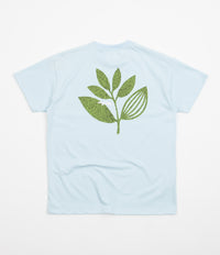 Magenta Grass Plant T-Shirt - Blue