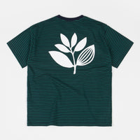 Magenta Striped Plant T-Shirt - Navy / Green thumbnail