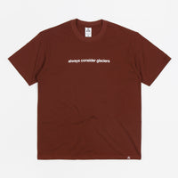 Nike ACG Glacier T-Shirt - Oxen Brown thumbnail