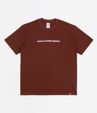 Nike ACG Glacier T-Shirt - Oxen Brown