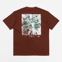 Nike ACG Glacier T-Shirt - Oxen Brown thumbnail