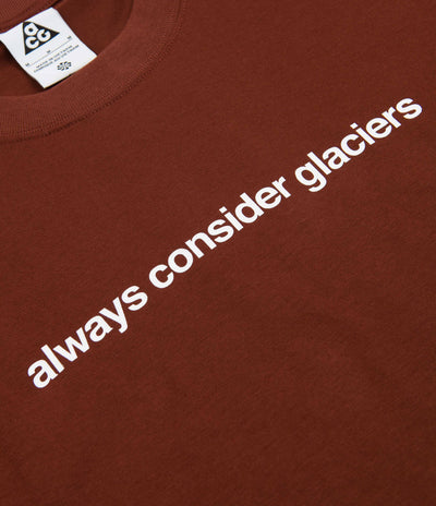 Nike ACG Glacier T-Shirt - Oxen Brown