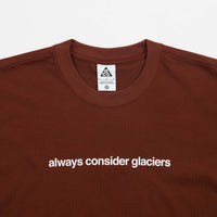 Nike ACG Glacier T-Shirt - Oxen Brown thumbnail